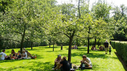 Sorel's picknick service