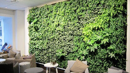 Conscious Hotel Vondelpark