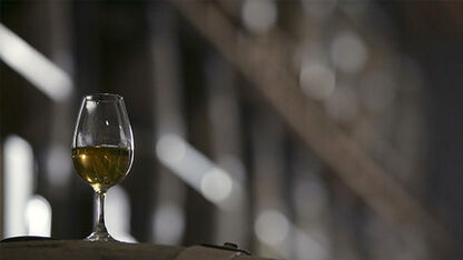 Nieuwe Rich Oak Single Malt van Glenfiddich