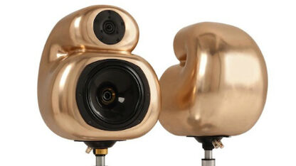 D&W Aural Pleasure Loudspeaker